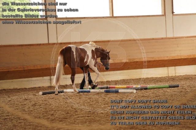 s_A_901067.JPG